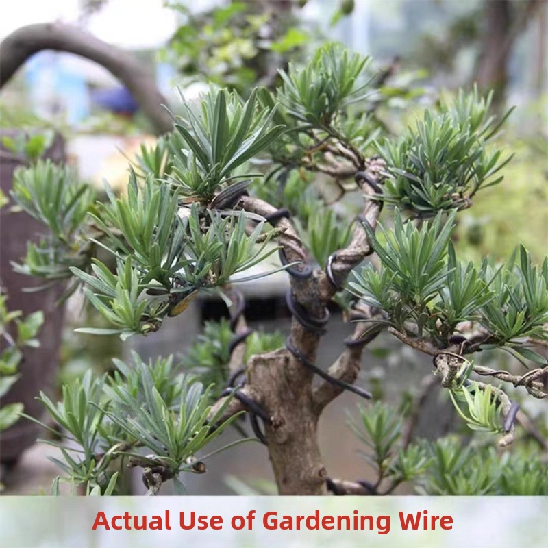 1.5MM Bonsai Wires Aluminum Bo - Gardening Tool Diy recensione e prezzo