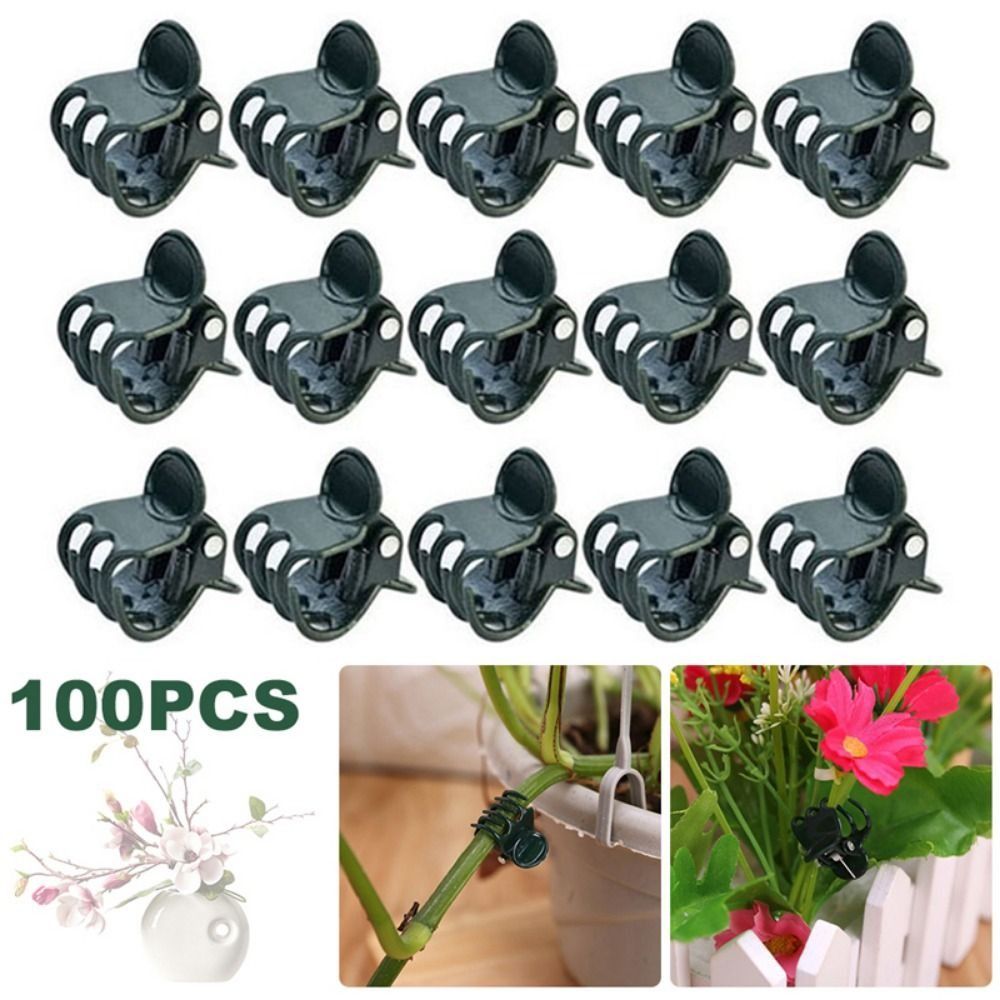 Vine Grafting Plant Clips Supp - Gardening Tools For Vines recensione e prezzo