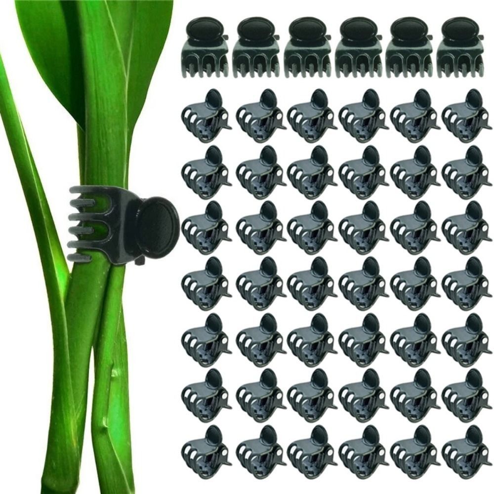 Vine Grafting Plant Clips Supp - Gardening Tools For Vines recensione e prezzo
