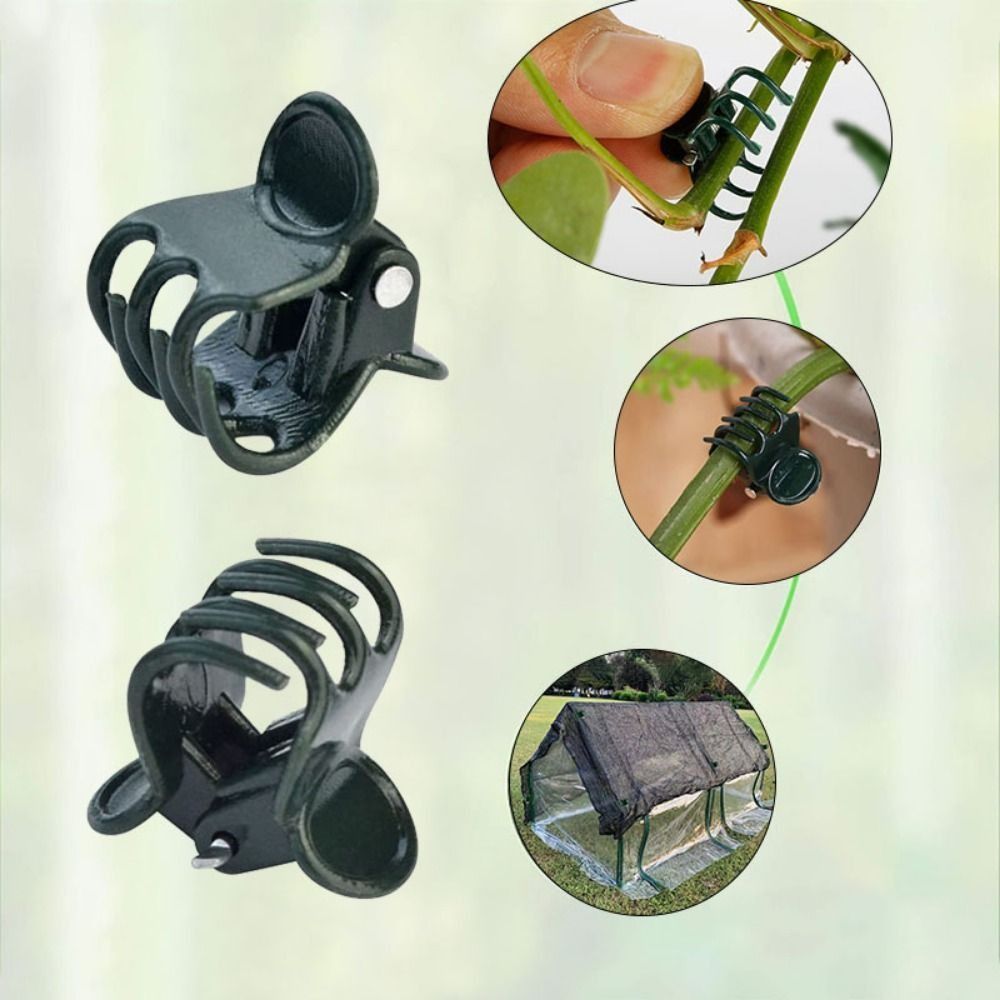 Vine Grafting Plant Clips Supp - Gardening Tools For Vines recensione e prezzo