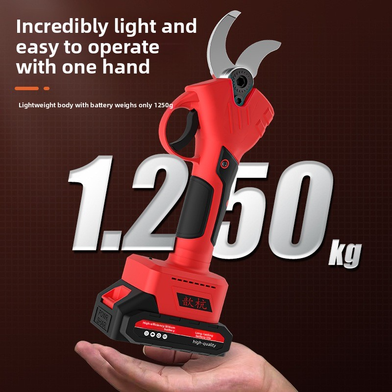 Rechargeable Lithium Battery E - Gardening Tools On Sale recensione e prezzo