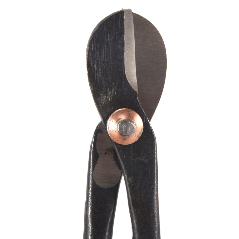 High Carbon Steel Garden Pruni - Gardening Tools B&Q recensione e prezzo