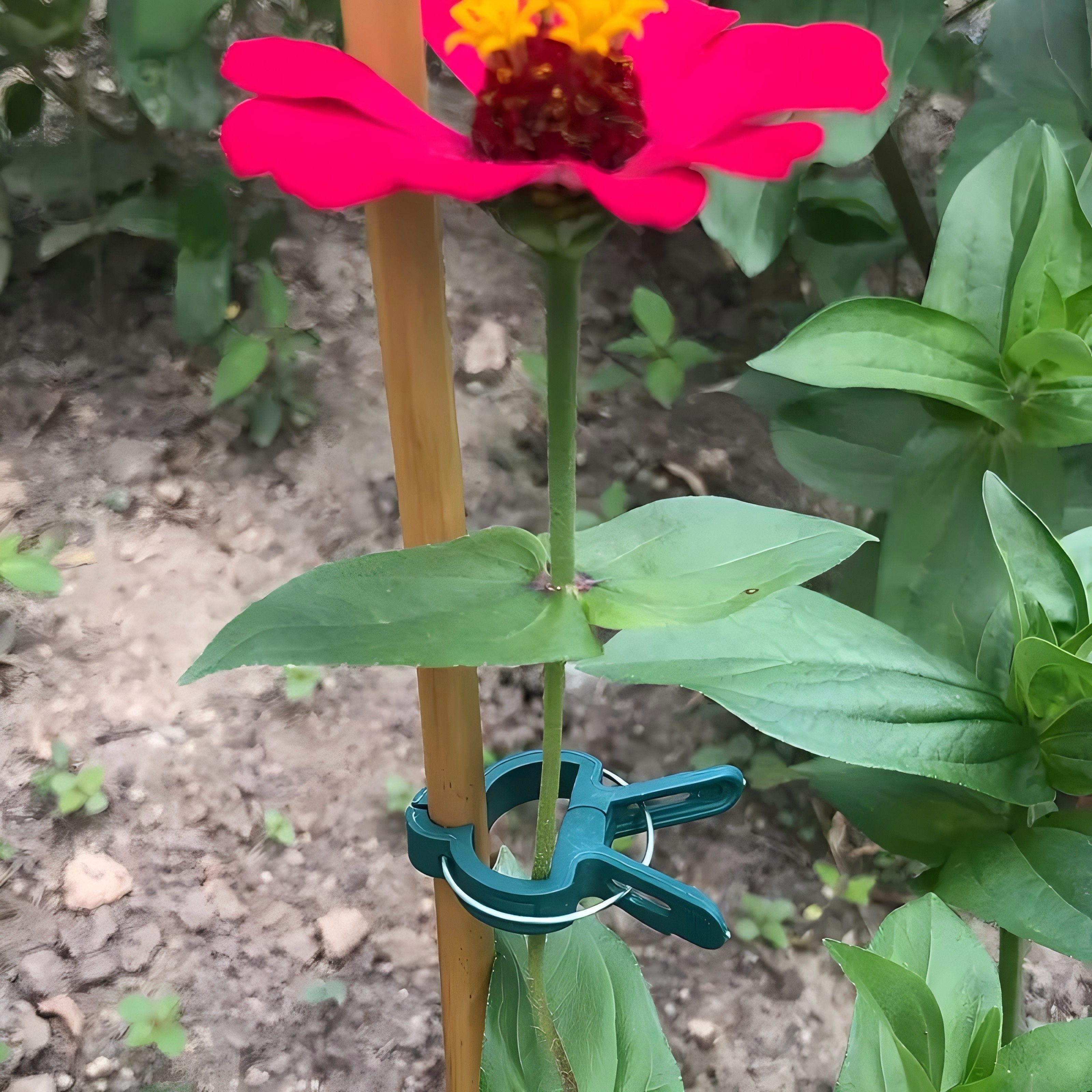 20 Adjustable Plant Support Cl - Gardening Tools For Vines recensione e prezzo