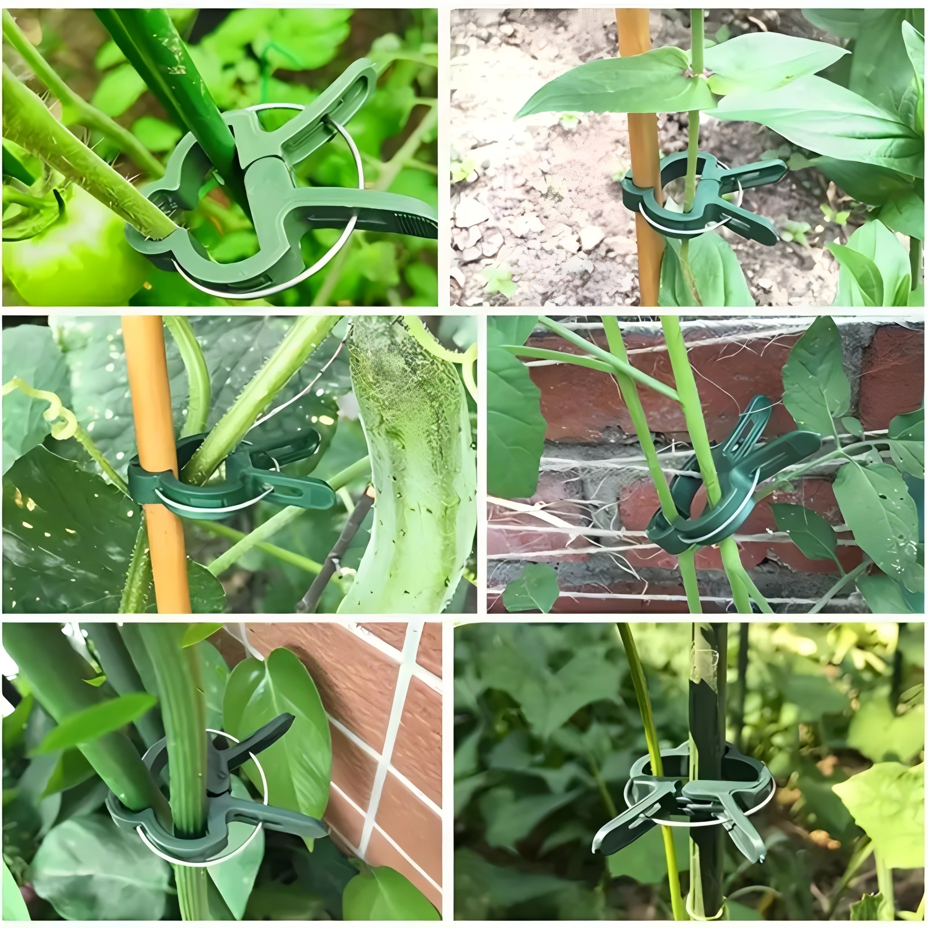 20 Adjustable Plant Support Cl - Gardening Tools For Vines recensione e prezzo