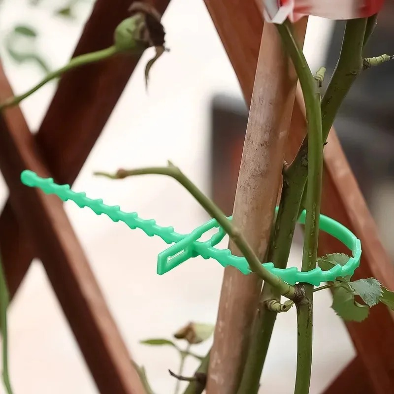Reusable Garden Cable Ties Pla - Gardening Tools For Vines recensione e prezzo