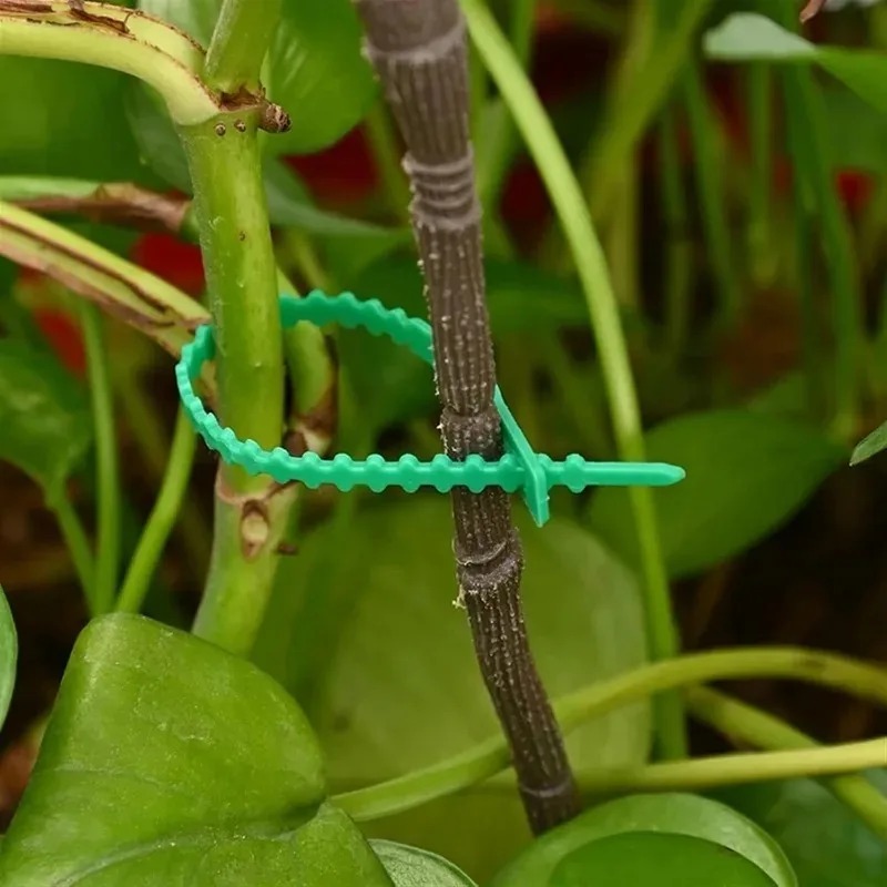 Reusable Garden Cable Ties Pla - Gardening Tools For Vines recensione e prezzo