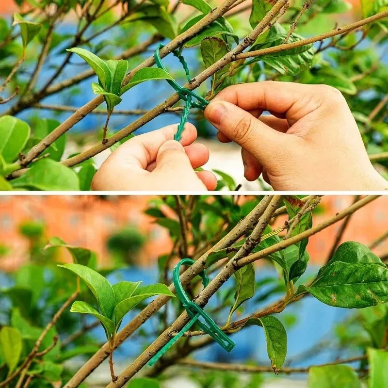 Reusable Garden Cable Ties Pla - Gardening Tools For Vines recensione e prezzo