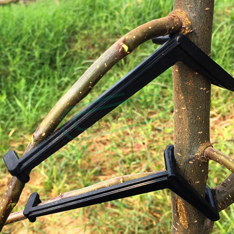 10-30Pcs Fruit Tree Clips Plan - Gardening Tools For Vines recensione e prezzo