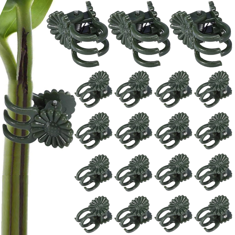20/50/100PCS Plant Clips Vine  - Gardening Tools For Vines recensione e prezzo