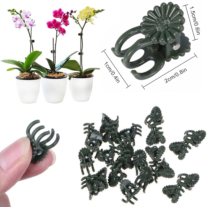 20/50/100PCS Plant Clips Vine  - Gardening Tools For Vines recensione e prezzo