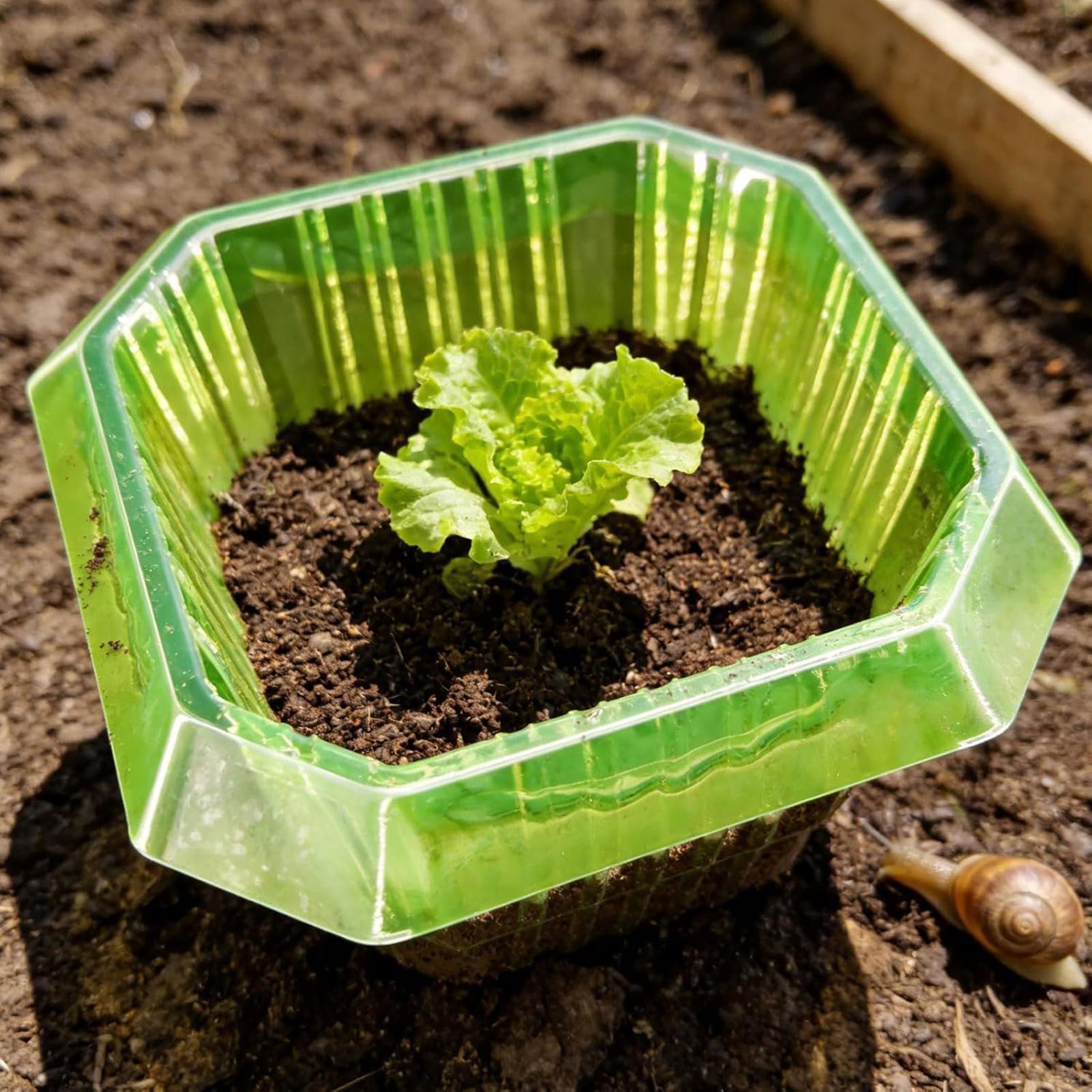 20Pcs Garden Plant Cloches Pla - Gardening Tools On Sale recensione e prezzo