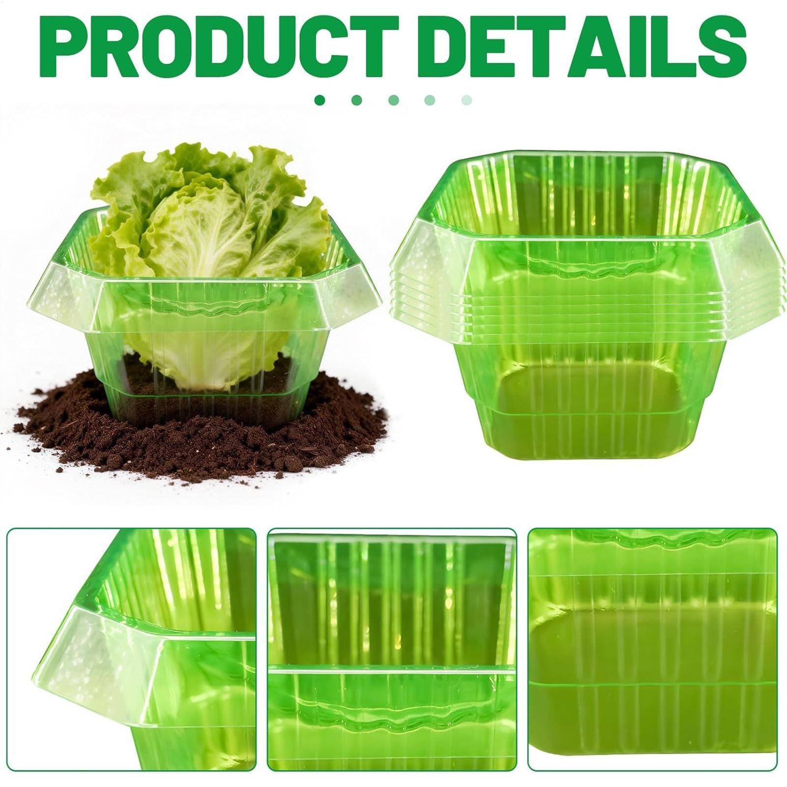 20Pcs Garden Plant Cloches Pla - Gardening Tools On Sale recensione e prezzo