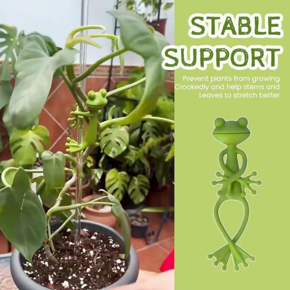 Tomato Plant Support Stake for - Gardening Tools For Vines recensione e prezzo