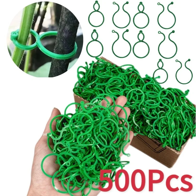 Plastic Garden Vine Strapping  - Gardening Tools For Vines recensione e prezzo