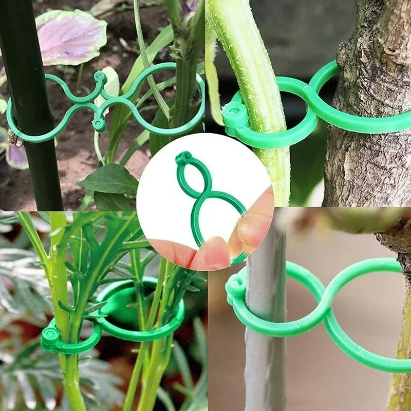Plastic Garden Vine Strapping  - Gardening Tools For Vines recensione e prezzo