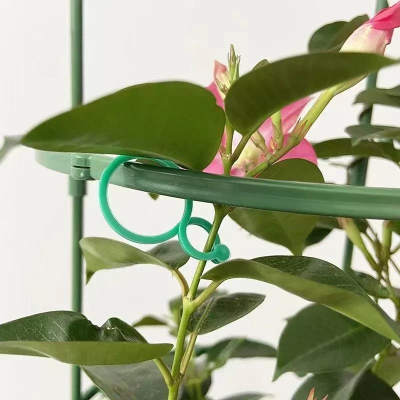 Plastic Garden Vine Strapping  - Gardening Tools For Vines recensione e prezzo